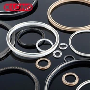 Karbon Fiber Yaylı Enerjili Contalı PTFE