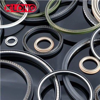 Düşük Sürtünme PTFE Yaylı Pompa Çubuk Contaları