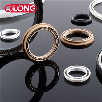 Teflon Özelleştirilmiş Bahar Energized Rod Seal